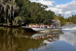 large airboat swamp tours