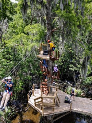 zip orleans swamp zipline stairs